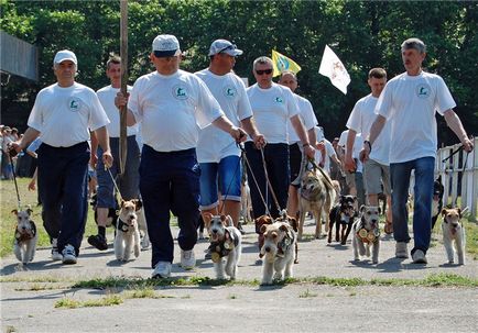 Всеукраїнська виставка мисливських собак, короткі історії довгою такси