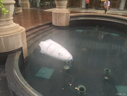 У Вашингтоні робот-охоронець «втопився» у фонтані