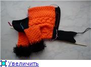 Noi tricot pentru animale