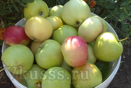 Az almalé keresztül sokovarku téli recept fényképpel (előállítására ízesített alma) Az almalé keresztül sokovarku téli recept egy fotó