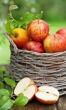 Apple salvat (transformarea Domnului)