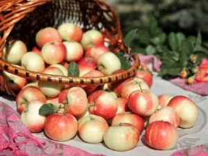 Apple salvat (transformarea Domnului)