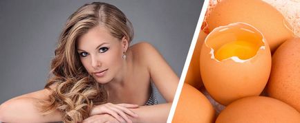 Яйце для волосся, лікування волосся за допомогою яєць
