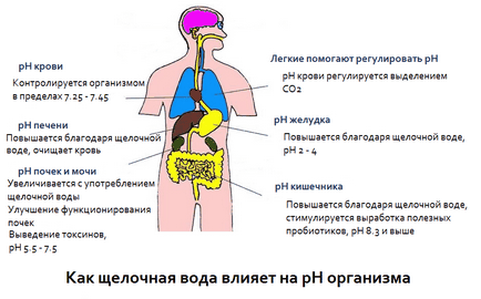 Acidificarea corpului este principala problemă a omului modern