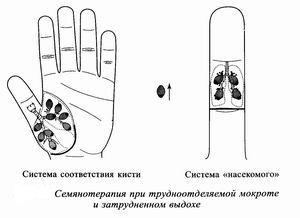 Здоров'я і альтернативна медицина