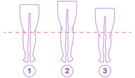 Afișarea sănătoasă a jambierelor, pantalonilor sau pantalonilor scurți