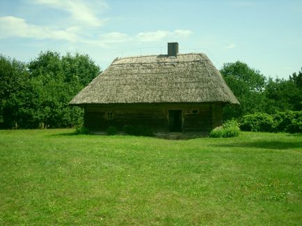 Acoperiș verde de iarbă pe acoperiș cu propriile mâini, fotografie