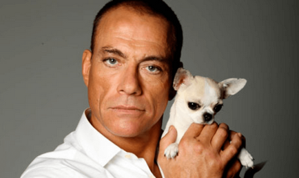 Jean-Claude Van Damme, mint a szerelem egy ukrán élet fordult zvezdy- Van Damme, rovatvezetője