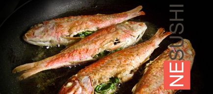 Pörkölt Mullet (Mullet) sült vörös márna