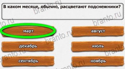 Зимові загадки відповіді на гру в однокласниках - всі рівні