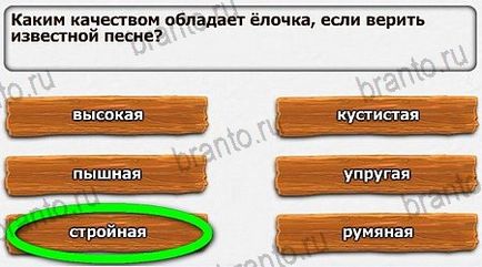 Зимові загадки відповіді на гру в однокласниках - всі рівні