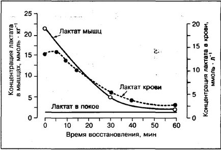 10 Фактів про молочній кислоті