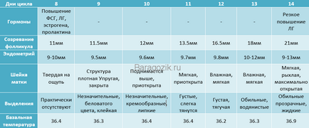 2 săptămâni de senzație de sarcină a unei femei înainte de concepție și ovulație - calendarul cel mai detaliat