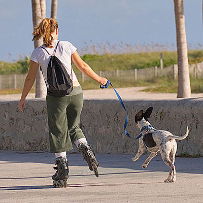 8 moduri de a face o plimbare cu un câine într-un antrenament eficient