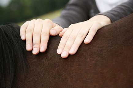 8 Exerciții pentru un cal cu o problemă înapoi