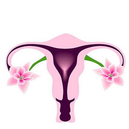 Adenomioza simptomelor uterului, tratamentul diferitelor forme și etape