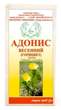 Adonis primăvară (gorichvet) în medicina populară