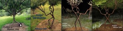 Арбоскульптури (кручені дерева) - ярмарок майстрів - ручна робота, handmade