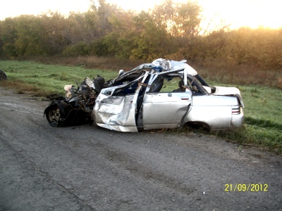 Accidentul la pisici a ucis trei