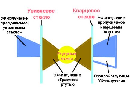 Бактерицидні лампи і кварцові лампи, в чому відмінність