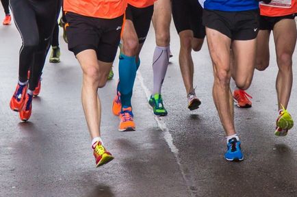 Fugind de reguli cum să devii un alergător de maraton și să nu te conduci în mormânt, alte tipuri, sport, argumente și