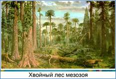 Biologie 11 Istoria clasei de dezvoltare a vieții în perioada mezozoică
