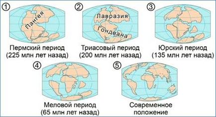 Біологія 11 клас історія розвитку життя в мезозойську еру