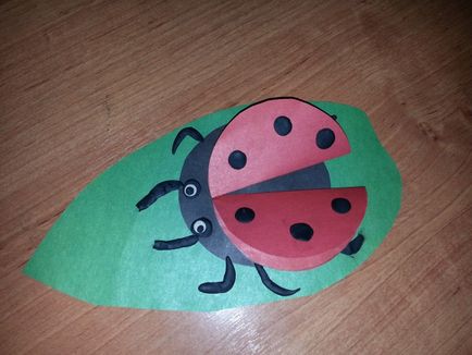 Ladybug »