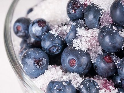 Blueberry receptek felkészülés a téli, ladyblog - lányszövetség