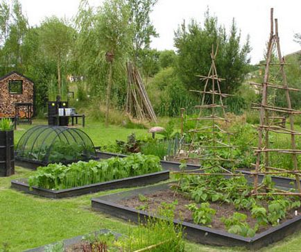Grădină grădină ornamentală cu frontiere, forbsgarden