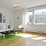 Proiectarea unui apartament pentru tineri (apartament) Proiectarea apartamentelor pentru tineri