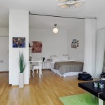 Proiectarea apartamentelor pentru tineri