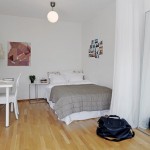 Proiectarea apartamentelor pentru tineri