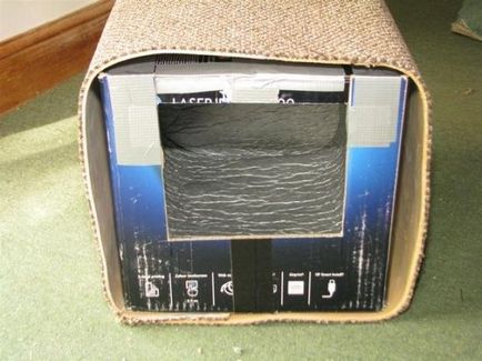 Kis ház egy macskát egy kartondobozban