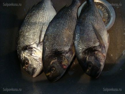 Dorada a sütőben a grill