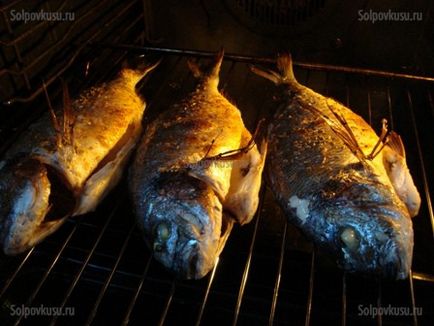 Dorada a sütőben a grill