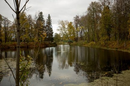 Єгор далечінь - професійний фотограф, весілля в Дмитрові