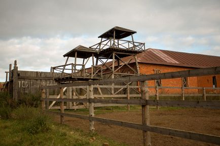 Єгор далечінь - професійний фотограф, весілля в Дмитрові