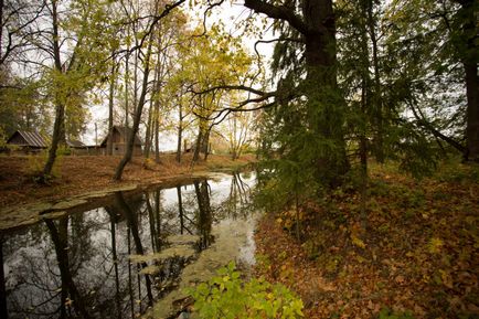 Єгор далечінь - професійний фотограф, весілля в Дмитрові