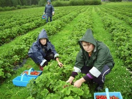 Якщо бог створив все, значить Бог створив зло ...