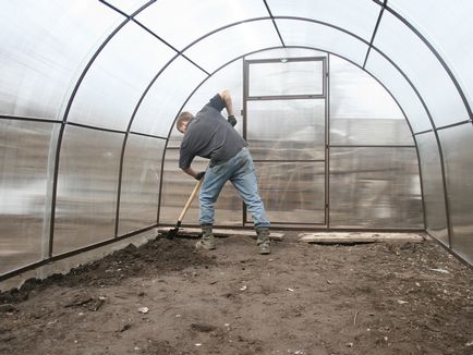 Phytophthora într-o seră de policarbonat tratată în toamnă cu iod, scapă de, întreținerea preventivă în