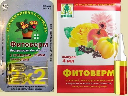 Phytoverm - pentru plantele de interior, eficacitatea medicamentului
