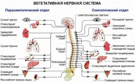 Гіпертонічний криз симптоми, лікування і ознаки