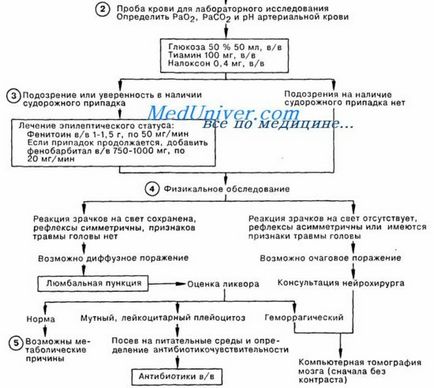 гіпоглікемічна кома