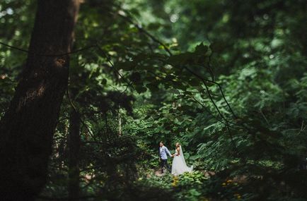 Principala grădină botanică din