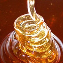 Гірчичний мед - корисний і смачний продукт