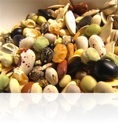 Pregătirea semințelor pentru însămânțare