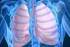 Granulom pulmonar, articole pe