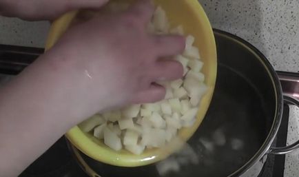 Gribovnitsa friss, fagyasztott, szárított vargányával receptek, hogyan kell főzni az első étel