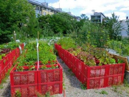 Грядки на дачі своїми руками фото оригінальних грядок